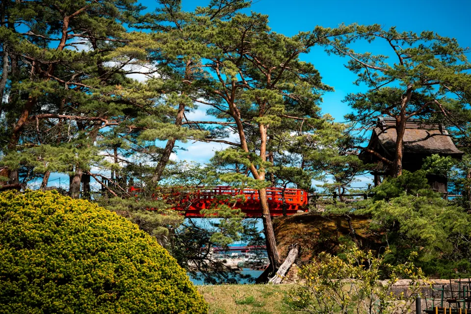 View Of Godaido's Red Bridge Framed By Pine Trees View Of Godaido's Red Bridge Framed By Pine Trees