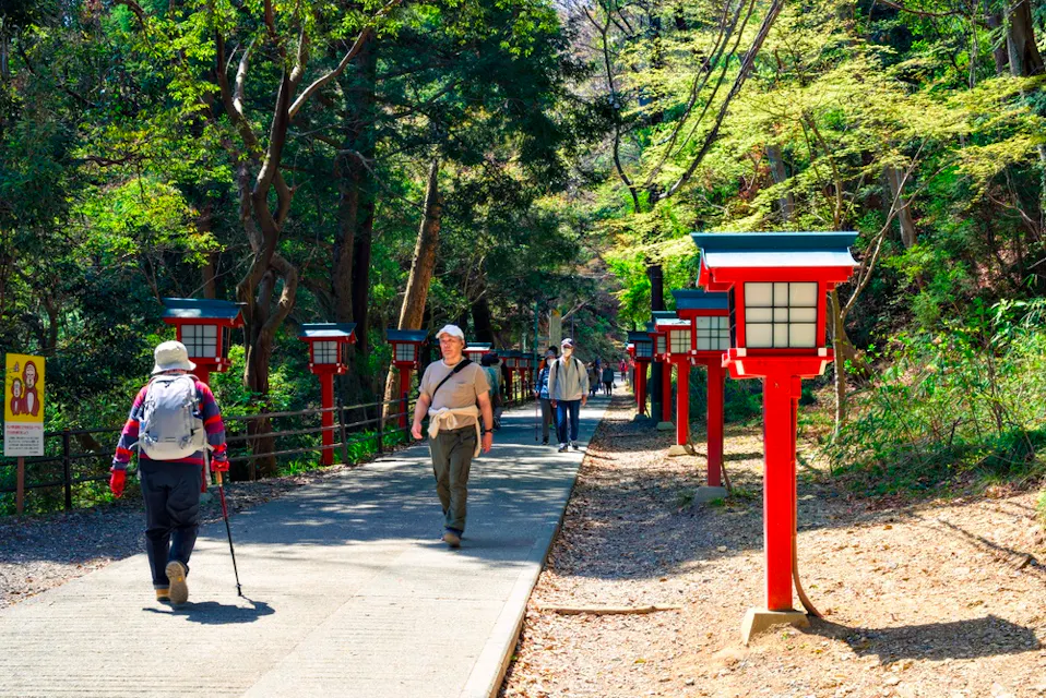 View of hiking path to the top of Mount Takao