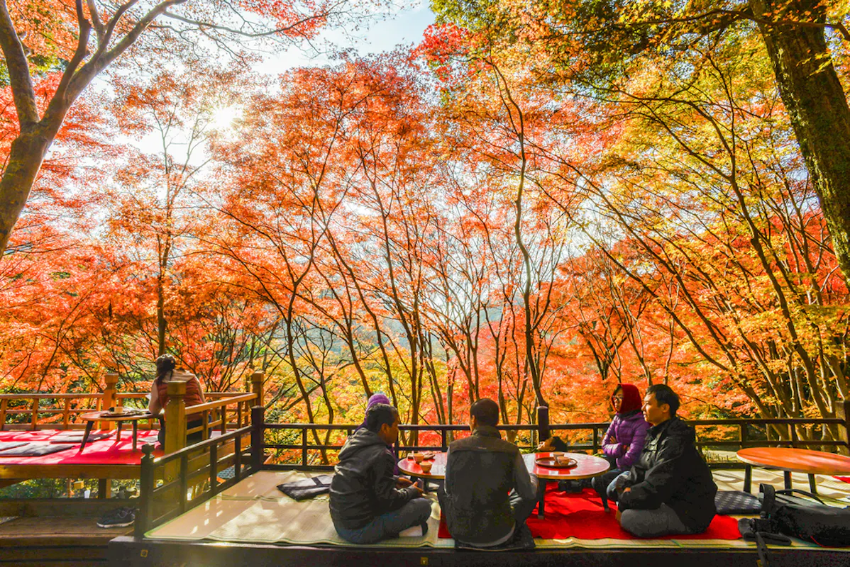 Tea House Under Red Maple Leaves at Autumn, Mount Takao Tea House Under Red Maple Leaves at Autumn, Mount Takao