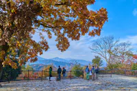 View of Mt.Fuji from Mt.Takao summit in Hachioji city,Tokyo,Japan