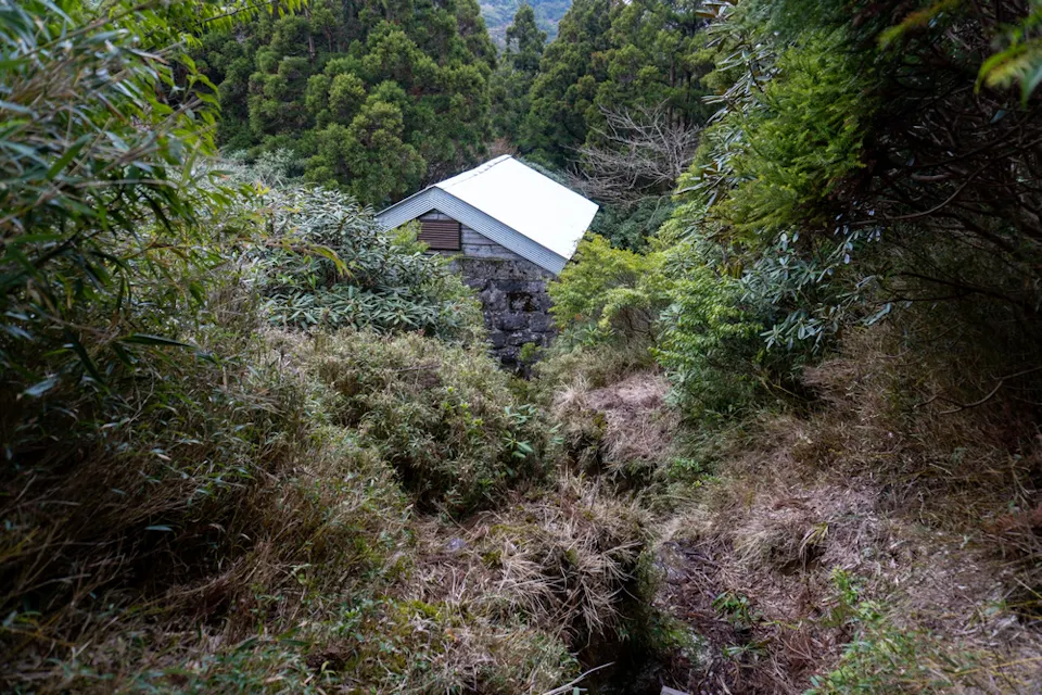 Shikanosawa Hut on Yakushima Island