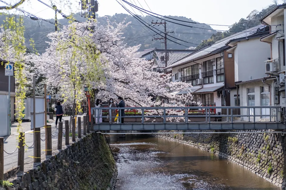 Kinosaki-Onsen in sakura blooming season Kinosaki-Onsen in sakura blooming season