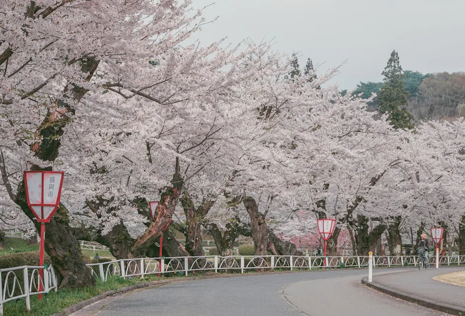 Morioka