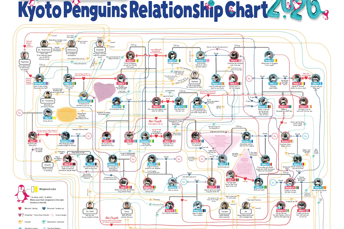 Kyoto Aquarium Penguin Relationship Chart Kyoto Aquarium Penguin Relationship Chart