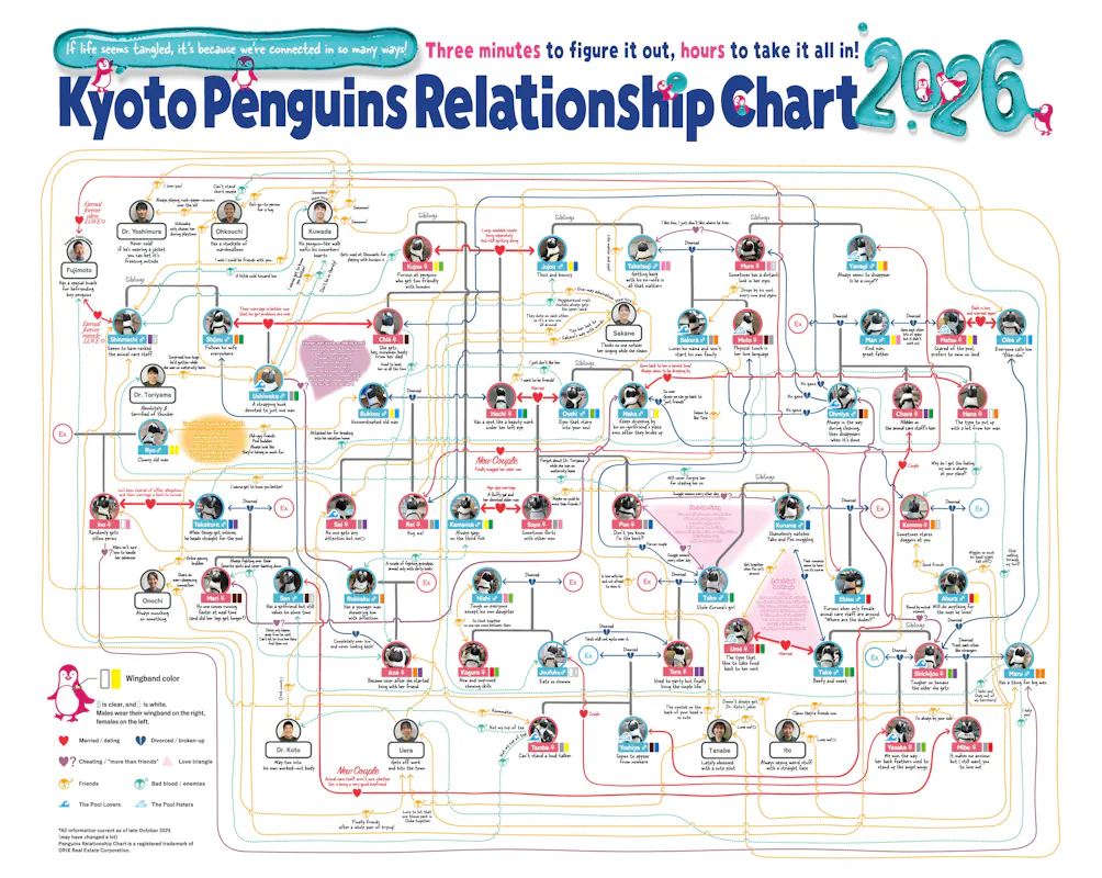 Kyoto Aquarium Penguin Relationship Chart