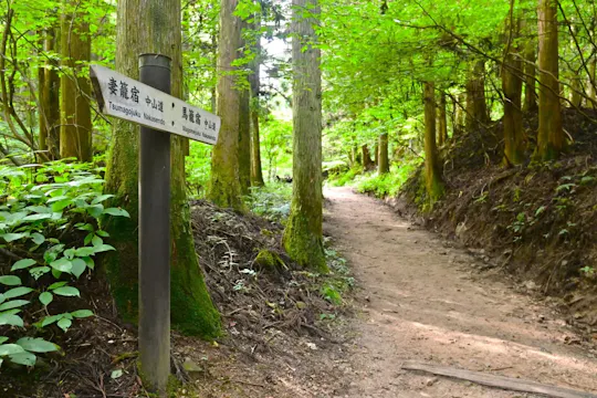 Nakasendo Trail Hike