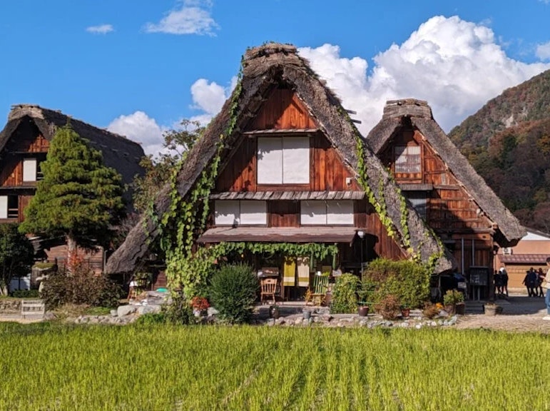 Takayama Old Town & Shirakawa-go 1-Day Tour from Takayama