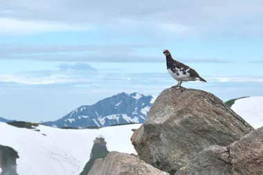 Snow Wall and Mysterious Valley Tour
