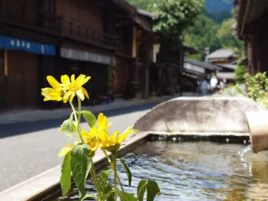 Nakasendo Trail Tour