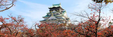 Osaka Tour