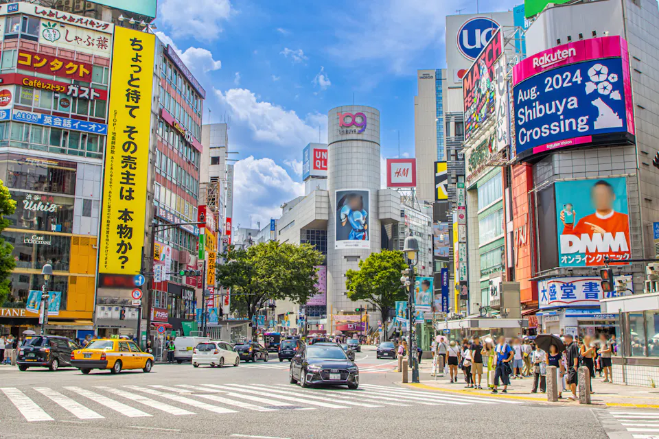 Shinjuku and Shibuya Tour Shinjuku and Shibuya Tour