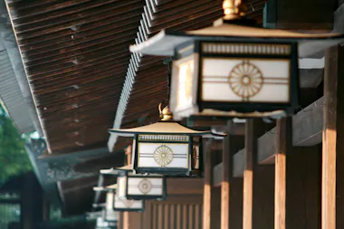 Shinjuku and Shibuya Tour