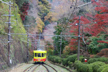 Mount Takao Adventure