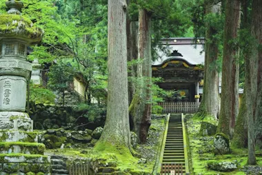 Fukui City Tour