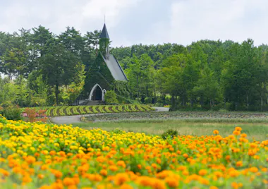 Kamikochi Tour
