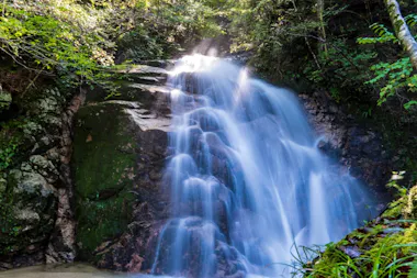 Nakasendo Trail Tour