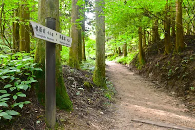 Nakasendo Trail Tour