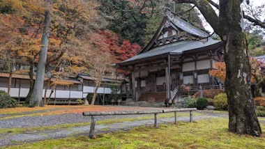 Gujo Hachiman Tour