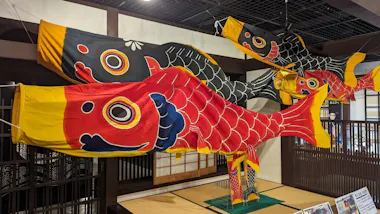 Gujo Hachiman Tour