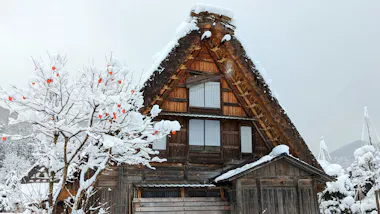Takayama and Shirakawa-go Tour