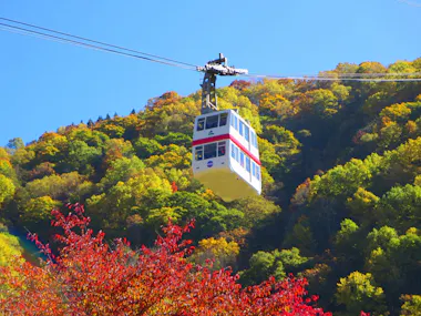 Shinhotaka Ropeway and Kamikochi Tour