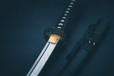 Bushido Workshop