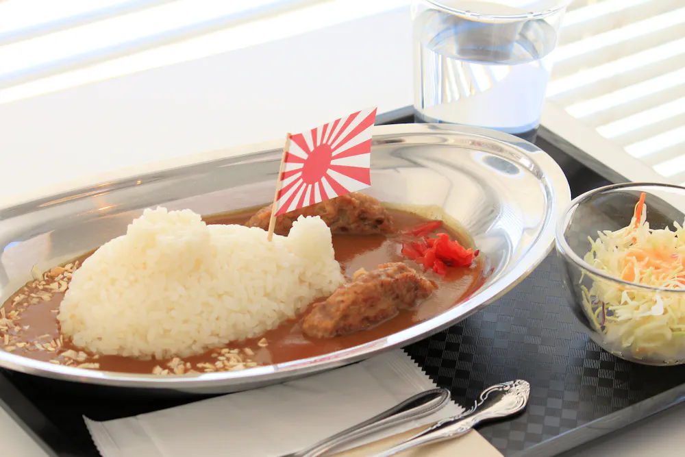 JMSDF Curry