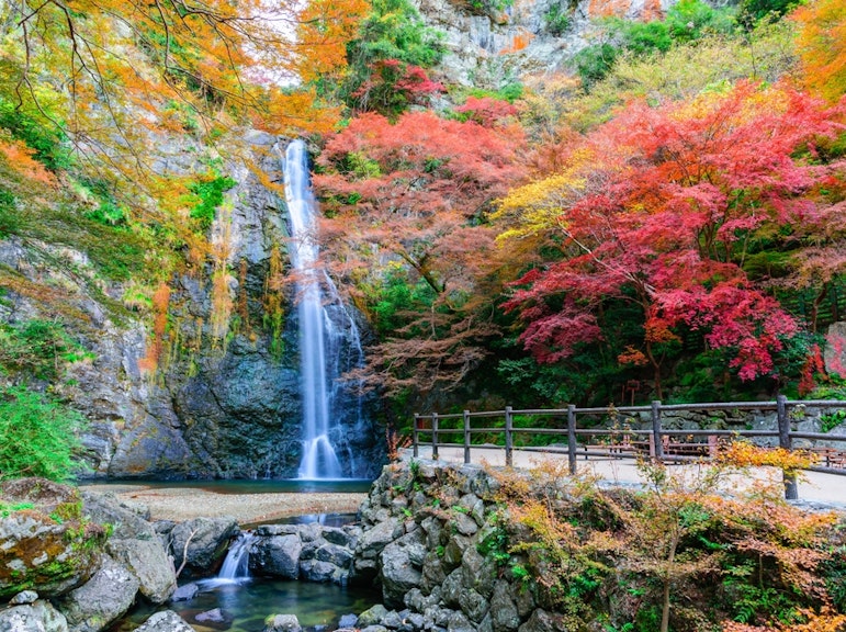 Osaka's Secret Adventures: Discover Daruma Magic and the Beauty of Minoh Falls