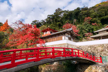 Ryuanji Temple