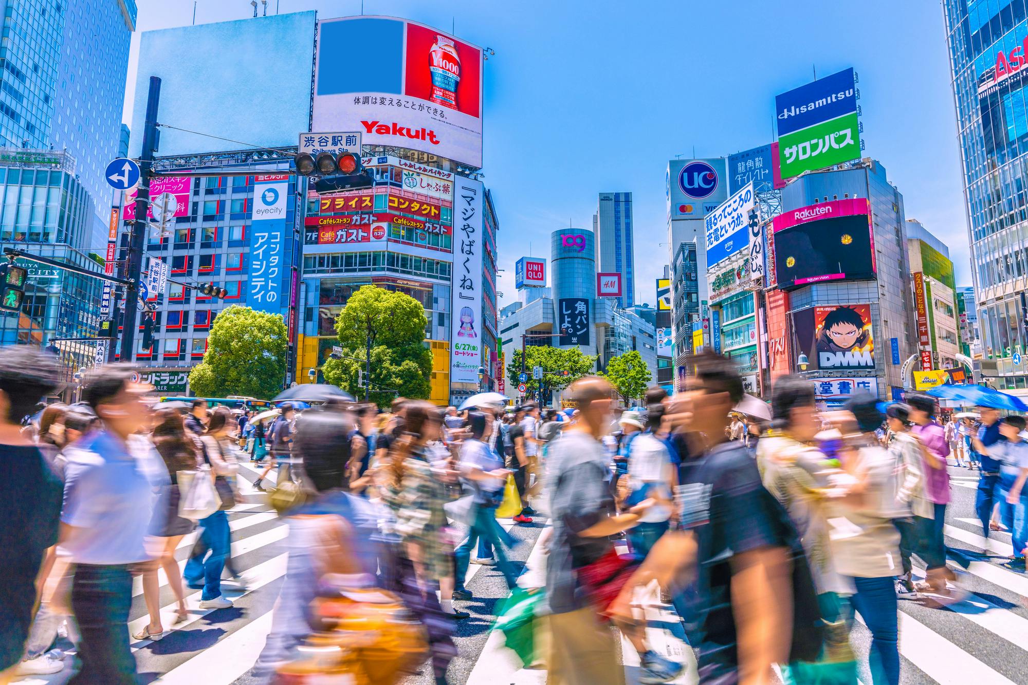 1-Day Walking Tour in Shinjuku and Shibuya