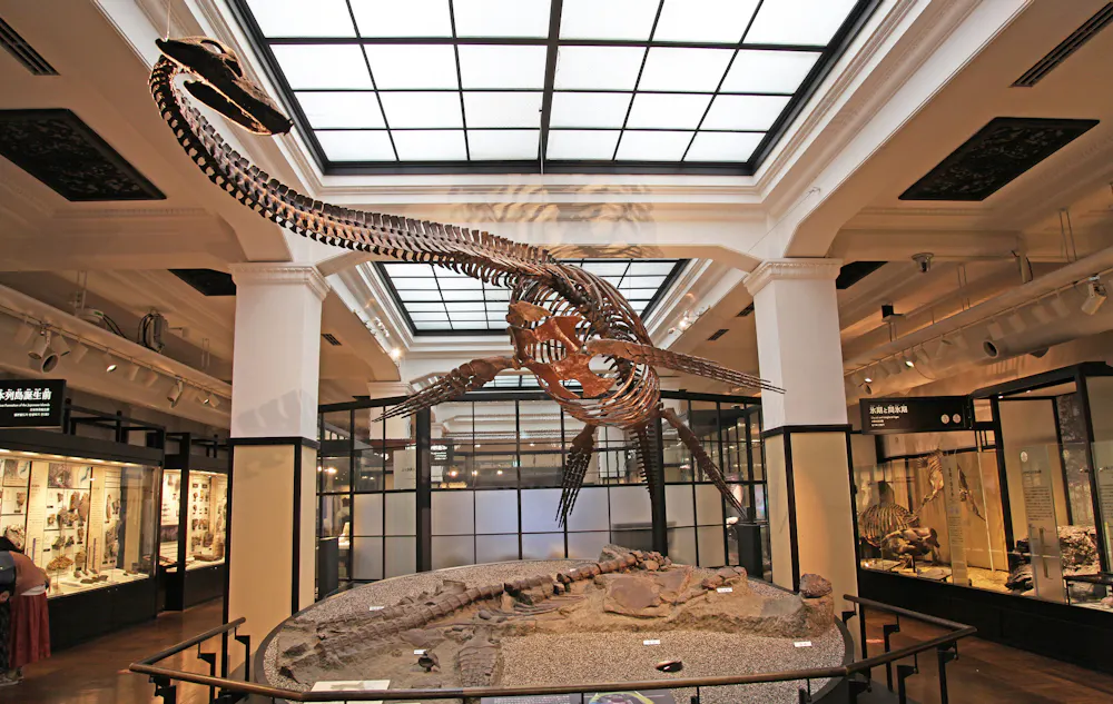 National Museum of Nature and Science