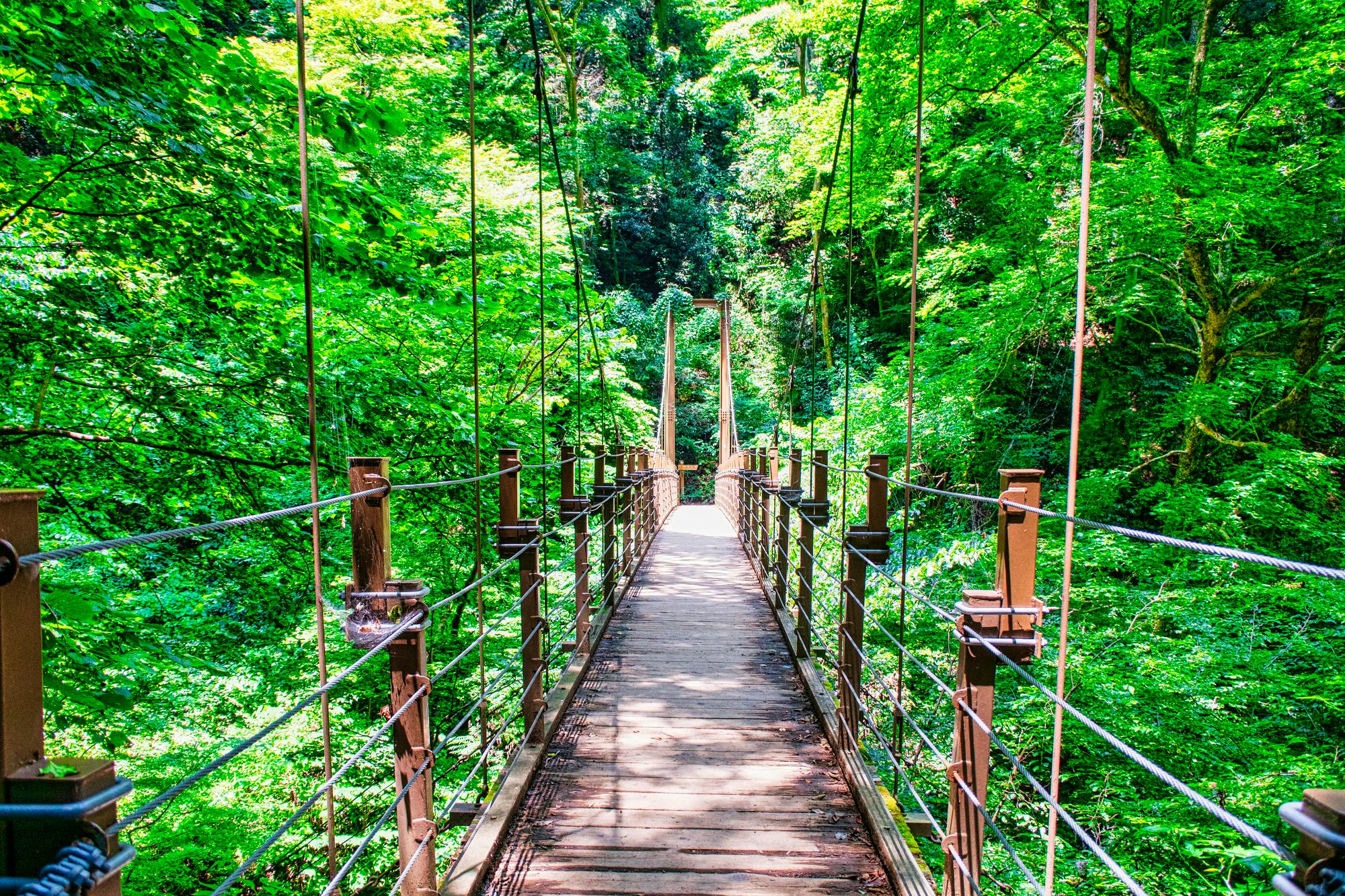 Miyama Suspension Bridge