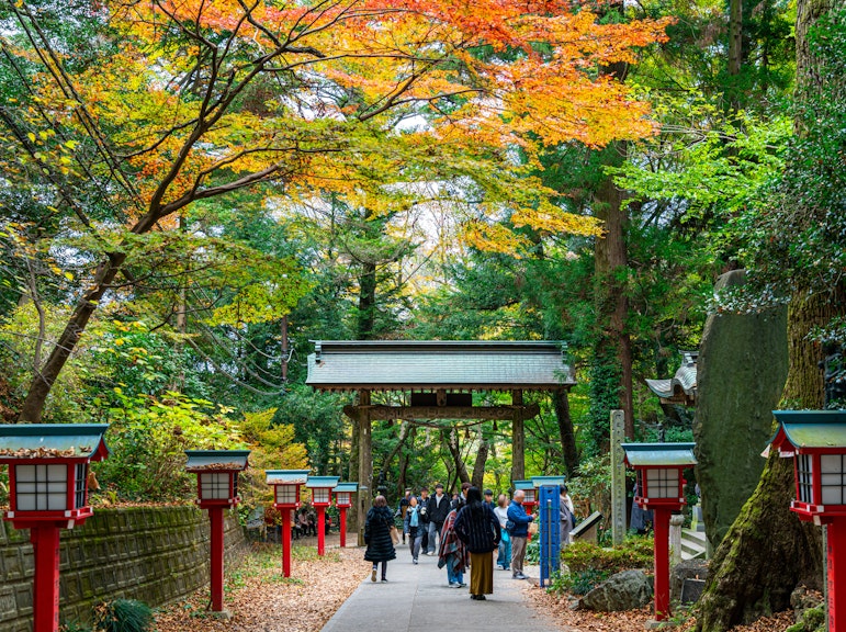 Mount Takao Adventure: Discover Nature and Tradition in Tokyo