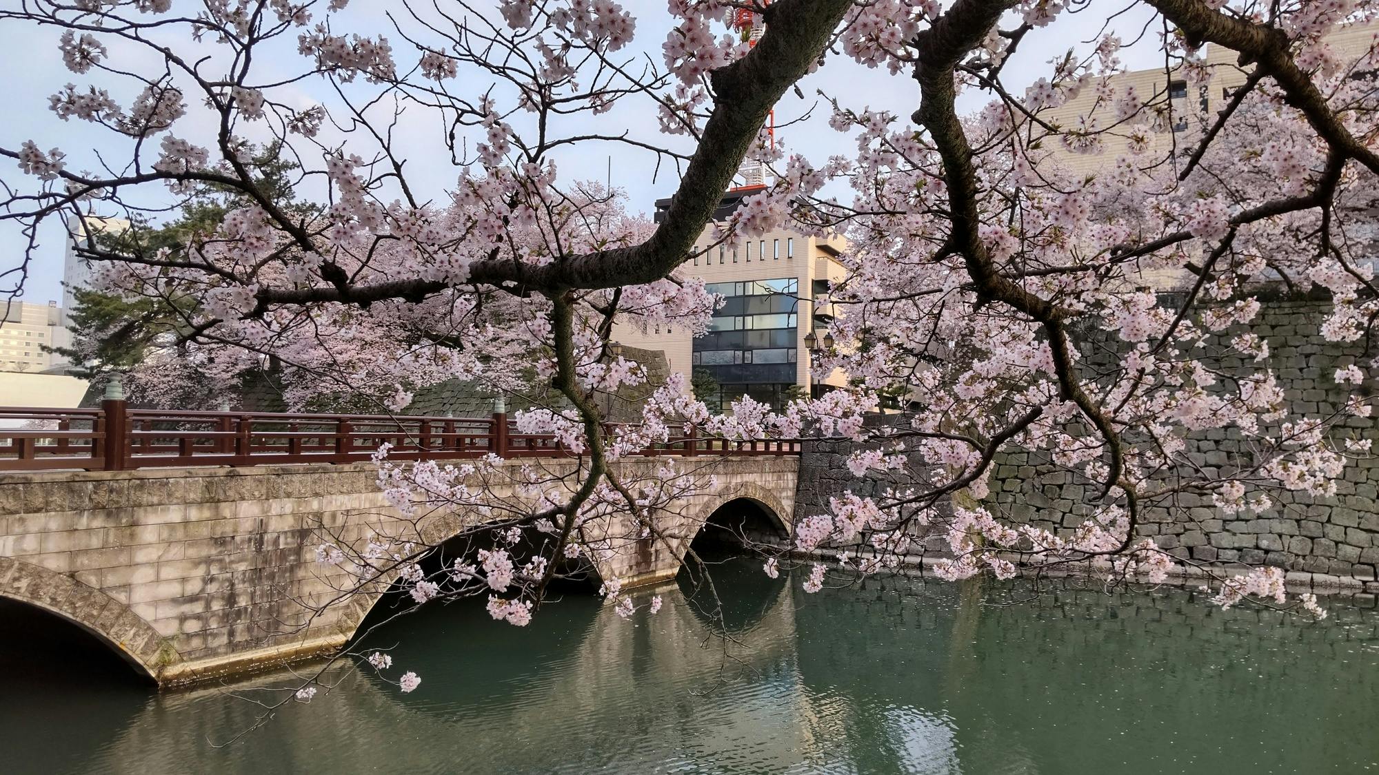 Eiheiji Zen Buddhist Head Temple and Fukui City Castle Town 1-Day Tour
