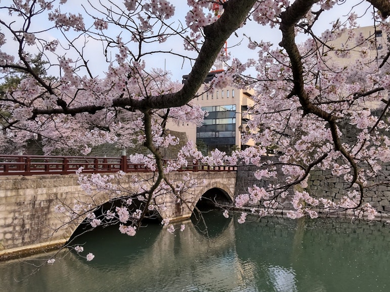 Eiheiji Zen Buddhist Head Temple and Fukui City Castle Town 1-Day Tour