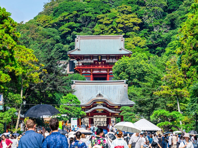 1 Day Tour to Kamakura and Enoshima: Shrines, Seaside, Temples, and Tea