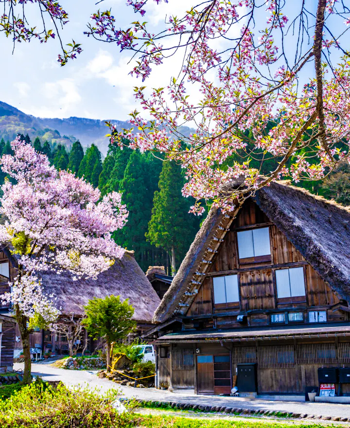 Shirakawa-go Shirakawa-go