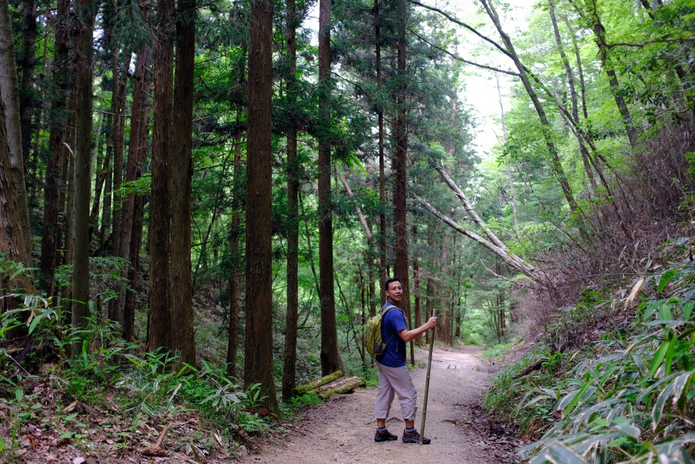 1-Day Tour from Nagoya: Hiking the Historic Nakasendo Trail
