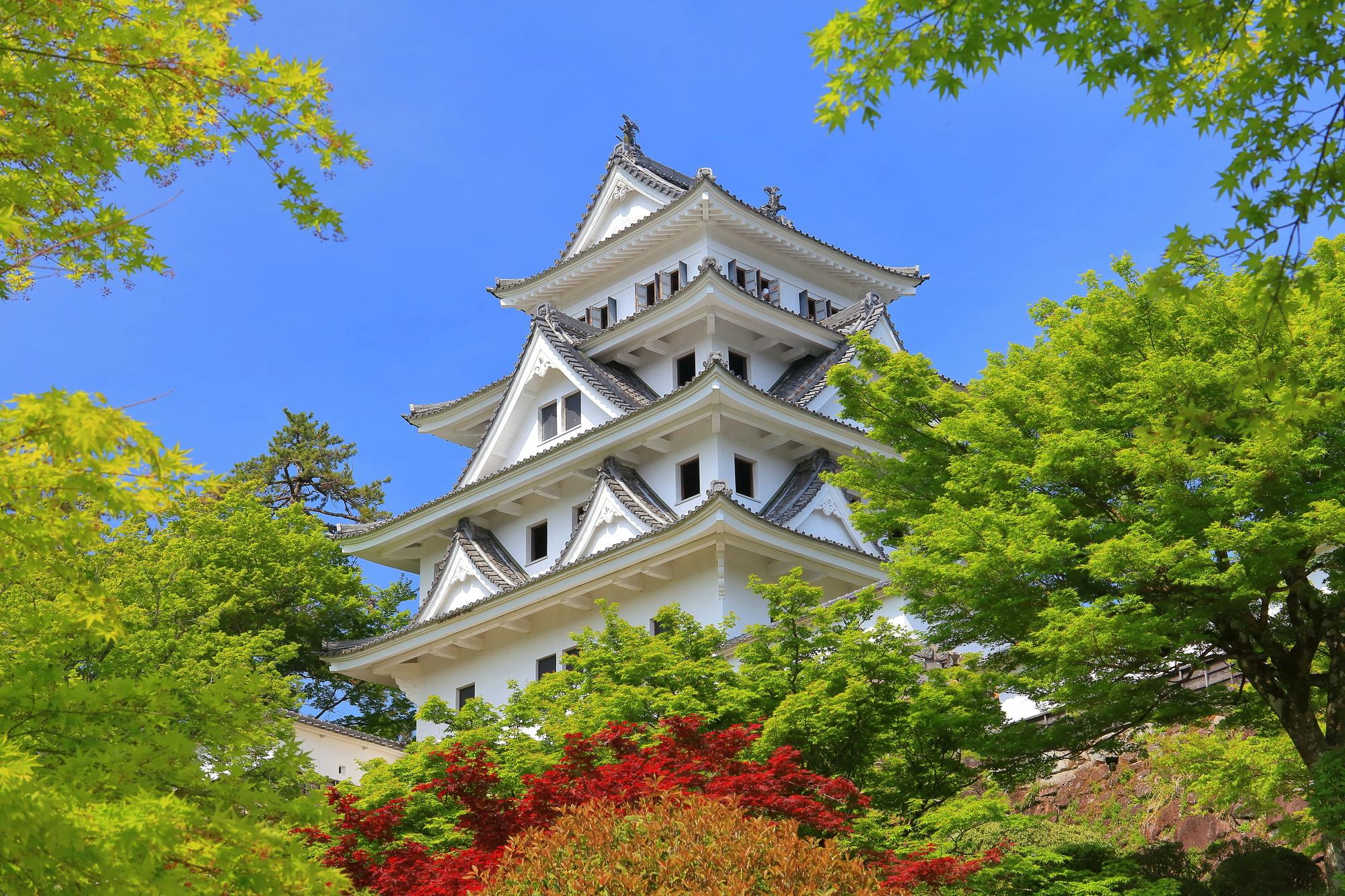 高山出发郡上八幡一日游：历史、传统与工艺