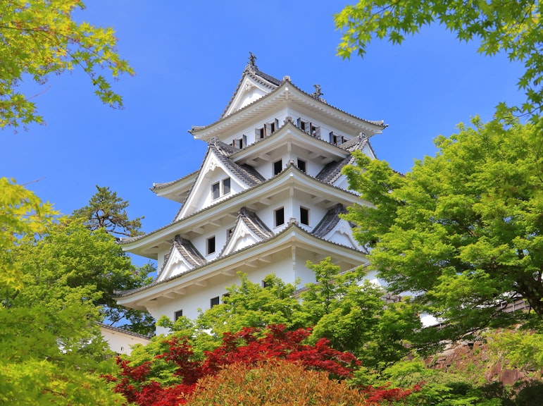 Gujo Hachiman 1-Day Tour from Takayama: History, Traditions & Crafts