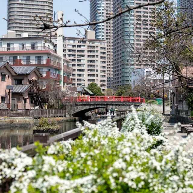 Spring scenery of Tsukishima and Tsukudajima Spring scenery of Tsukishima and Tsukudajima