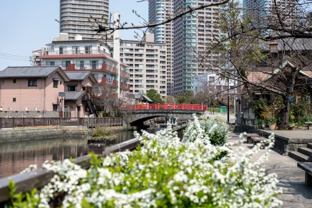 Spring scenery of Tsukishima and Tsukudajima