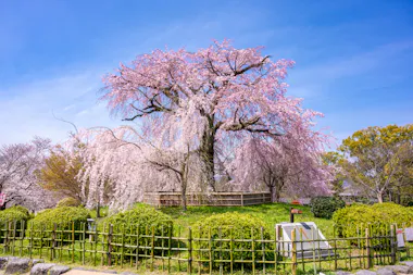 Maruyama Park