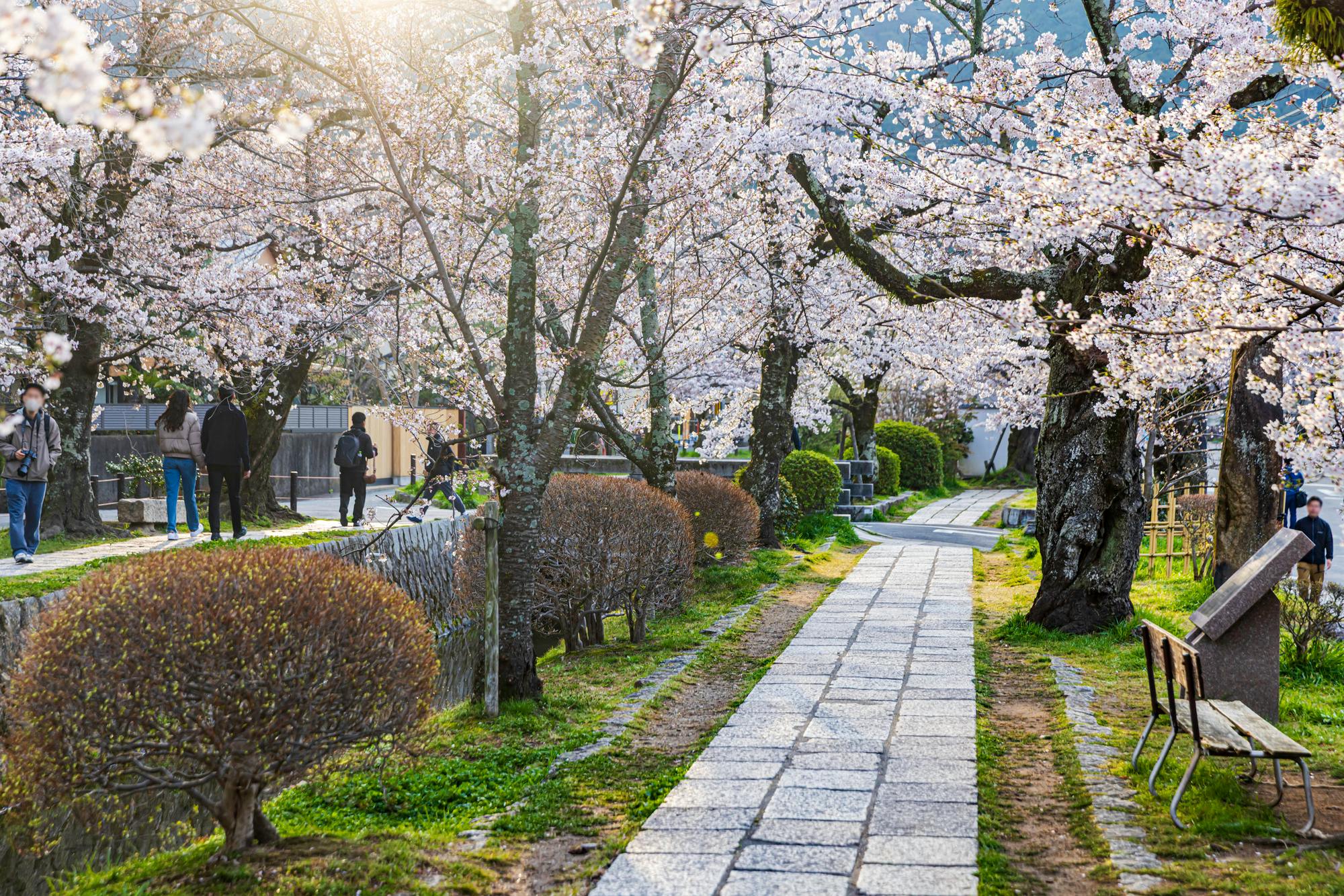 Philosopher's Path