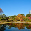 Imperial Palace East Garden and Edo Castle Walking Tour in Tokyo