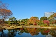 Imperial Palace East Garden and Edo Castle Walking Tour in Tokyo