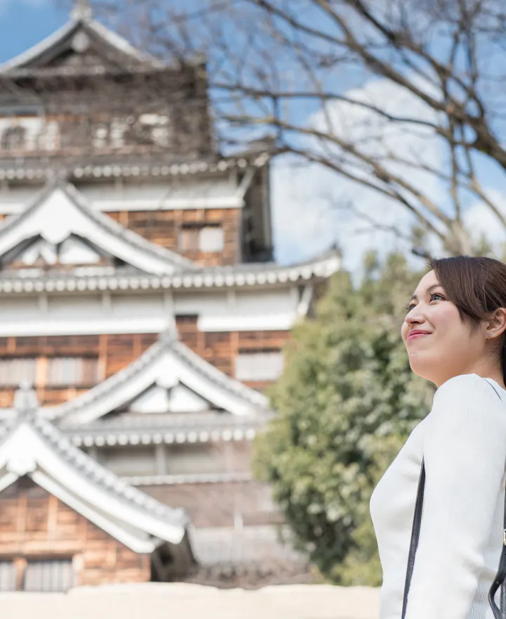 Hiroshima Castle Hiroshima Castle
