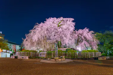 Maruyama Park