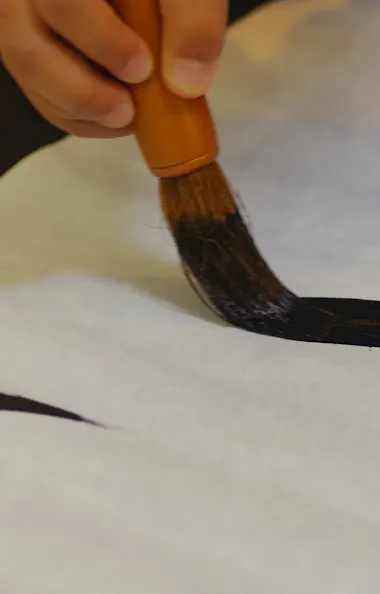 Calligraphy Calligraphy