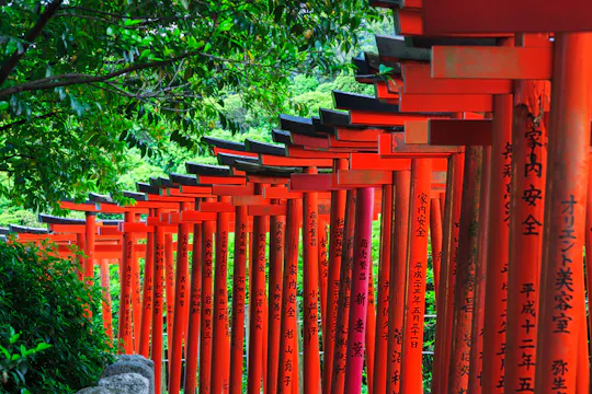 Nezu Shrine